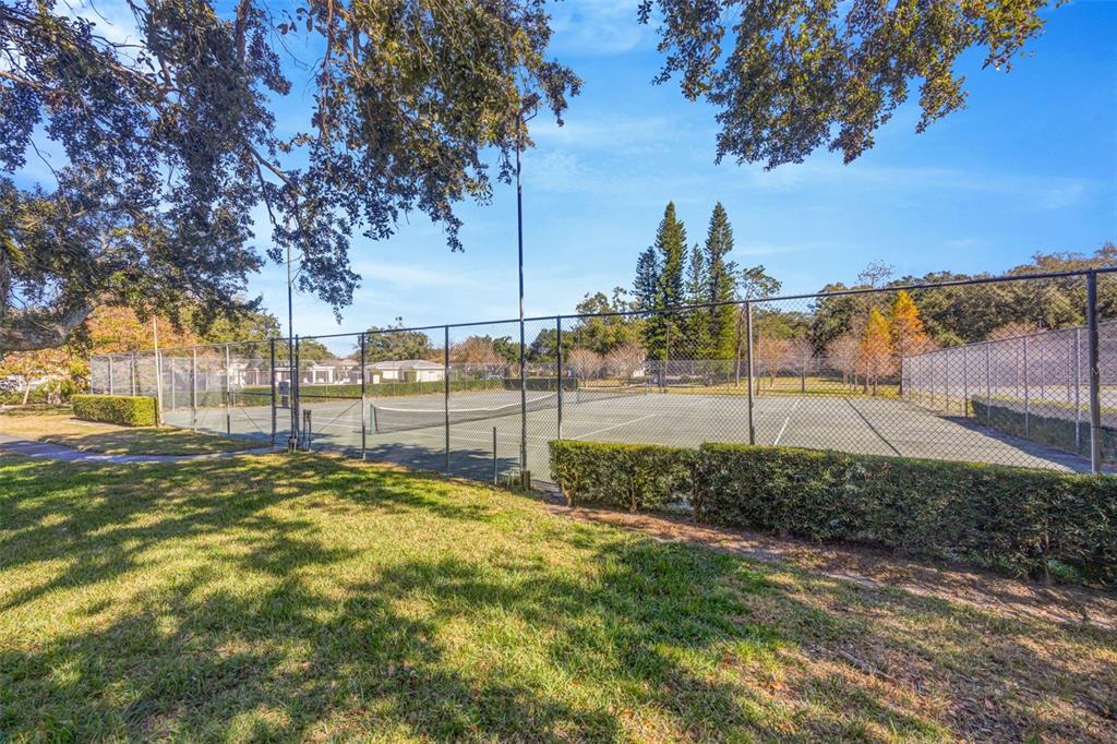 11728 Raintree Drive Temple Terrace, FL 33617 - Photo 39 of 41