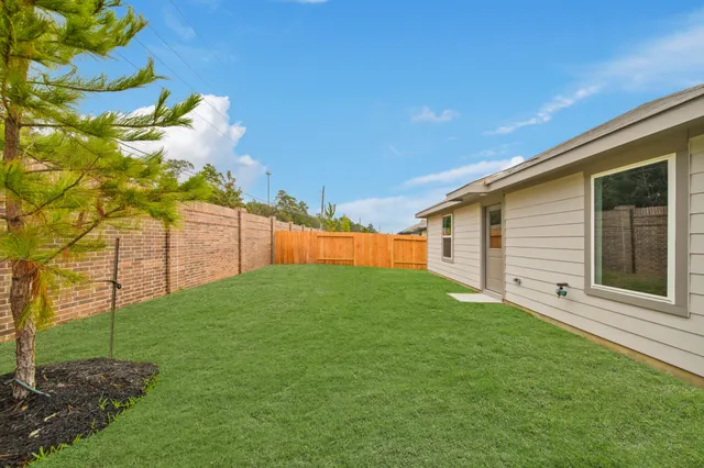 a view of a backyard with plants and large trees