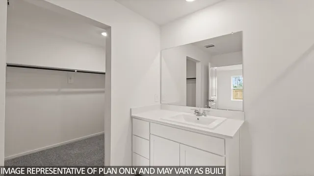 a bathroom with a sink a mirror and shower