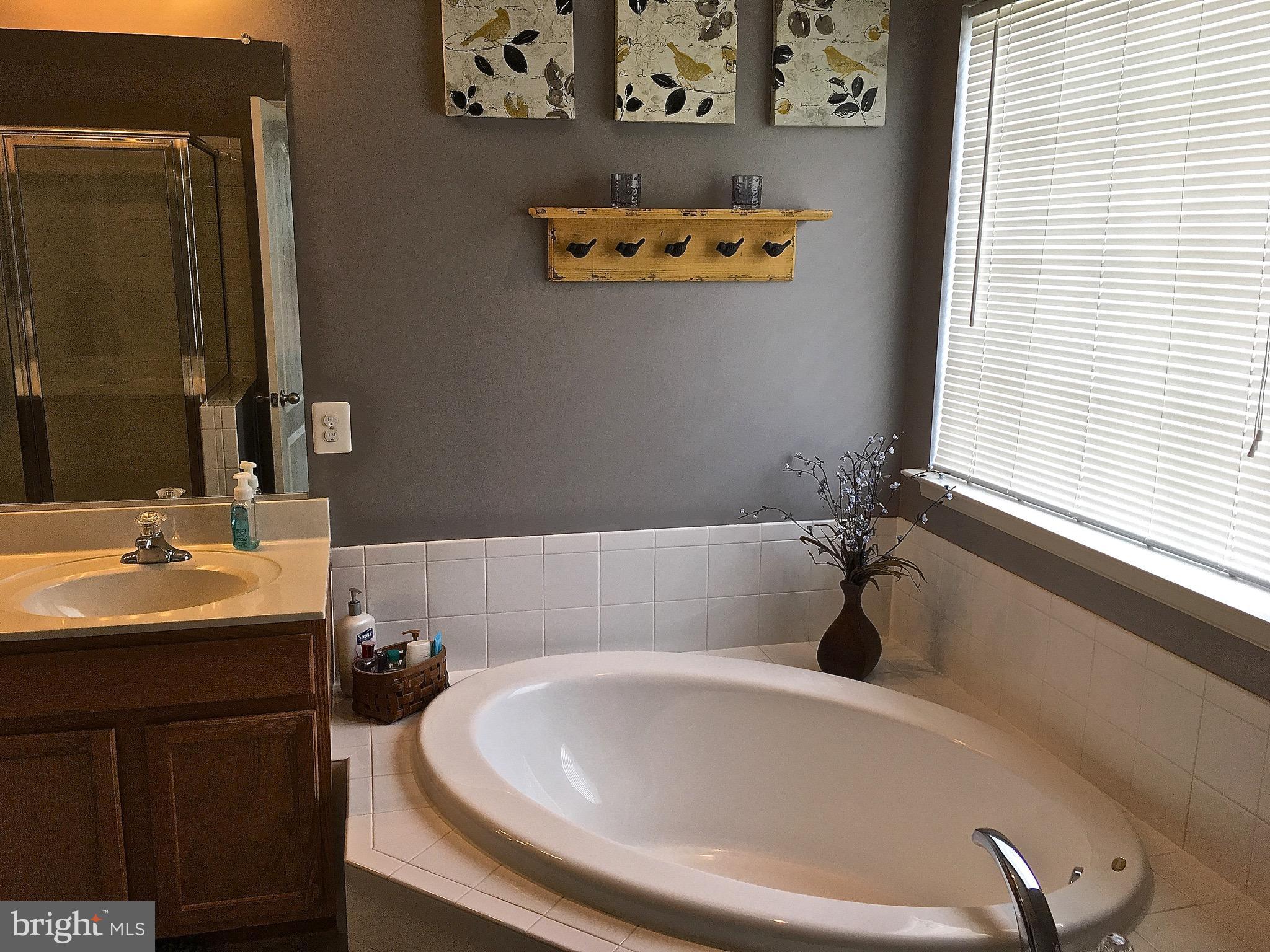 12950 Yellow Jacket Road Hagerstown, MD 21740 - Photo 19 of 30 Bath (Master)