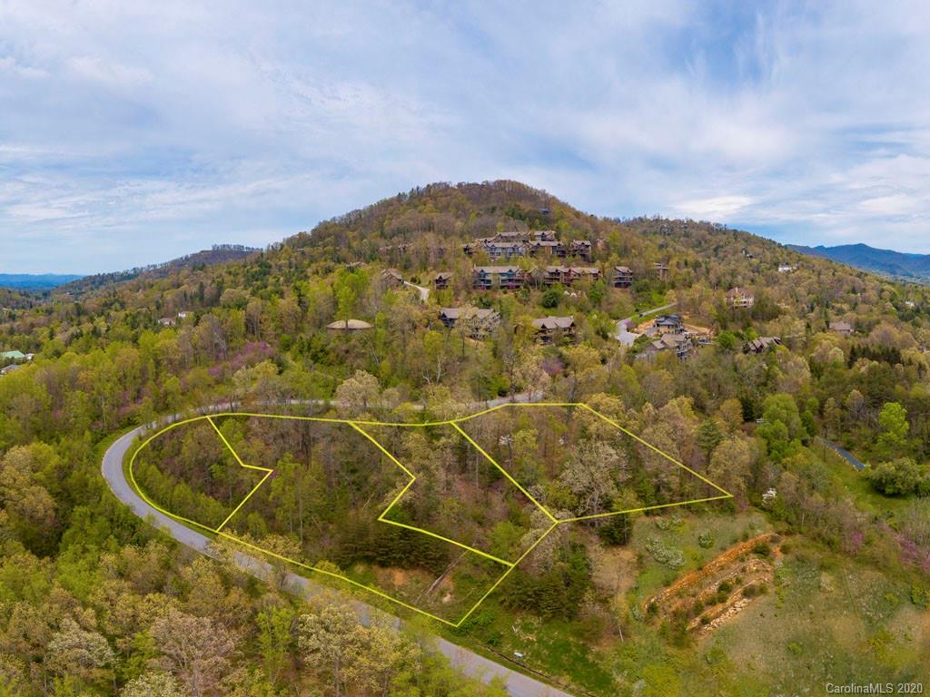 Lot 1 Senator Reynolds Road Asheville, NC 28804 - Photo 1 of 7 Gallery Image 1