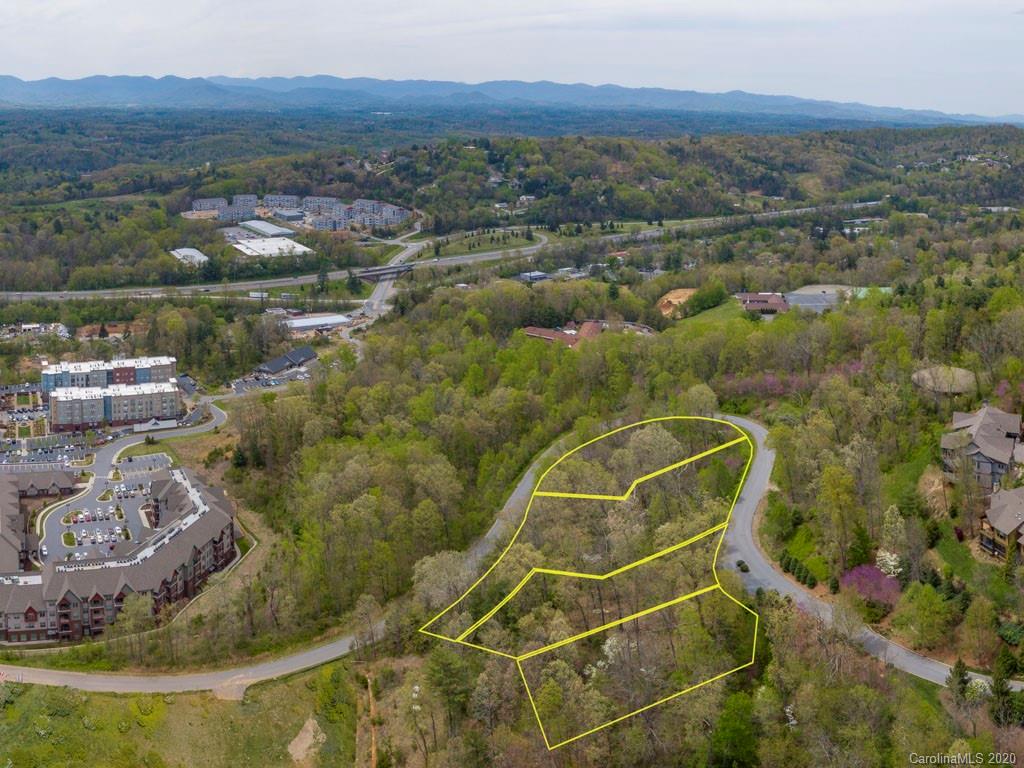 Lot 1 Senator Reynolds Road Asheville, NC 28804 - Photo 2 of 7 Gallery Image 2