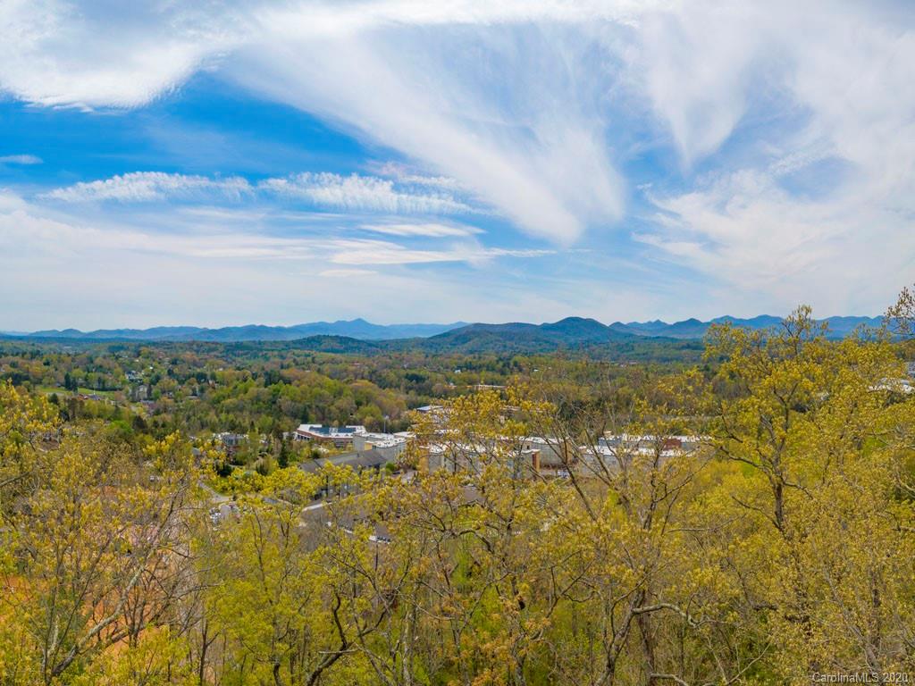 Lot 1 Senator Reynolds Road Asheville, NC 28804 - Photo 3 of 7 Gallery Image 3