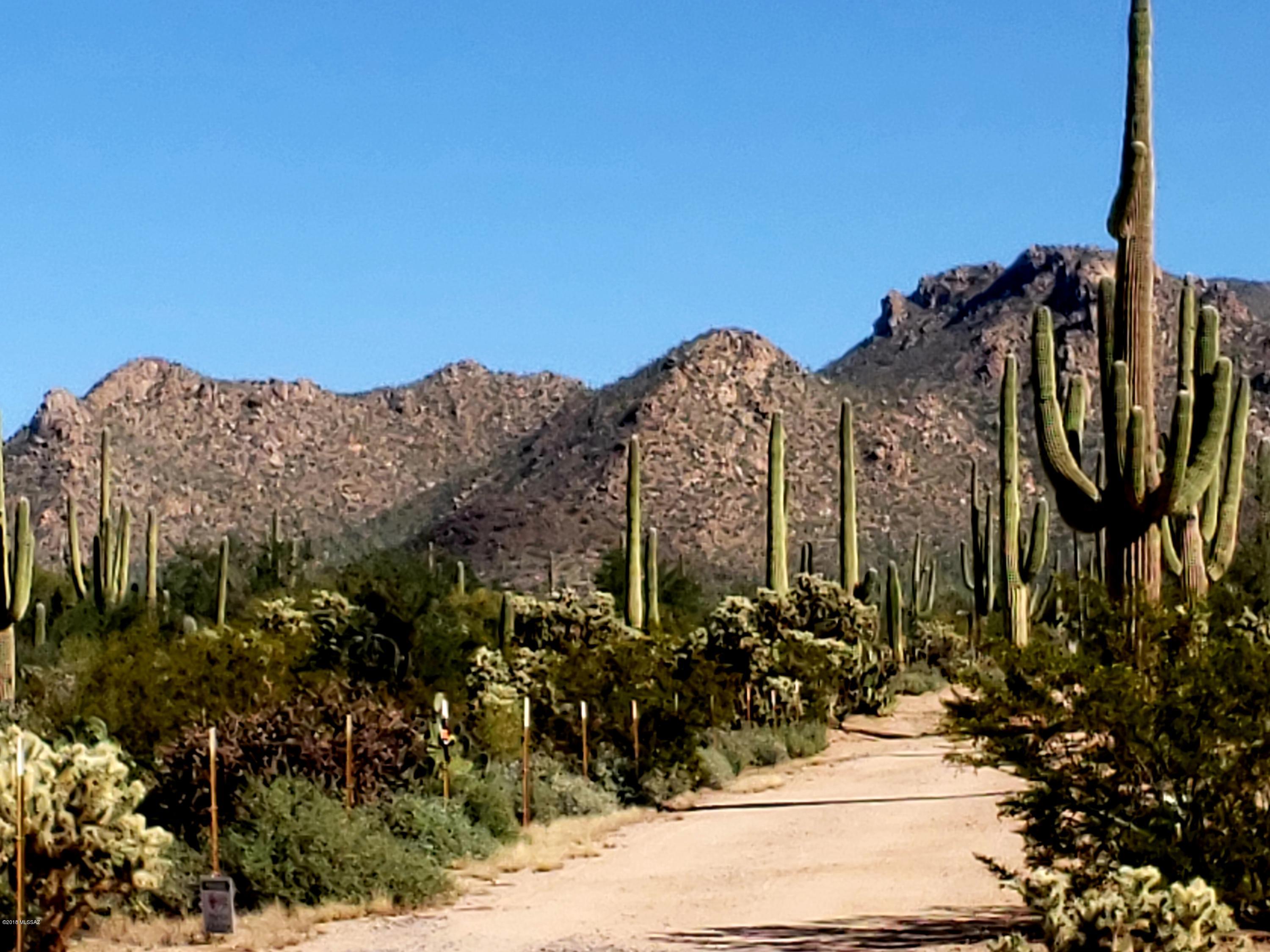 12200-blk West Fort Lowell Road Tucson, AZ 85743 - Photo 1 of 14