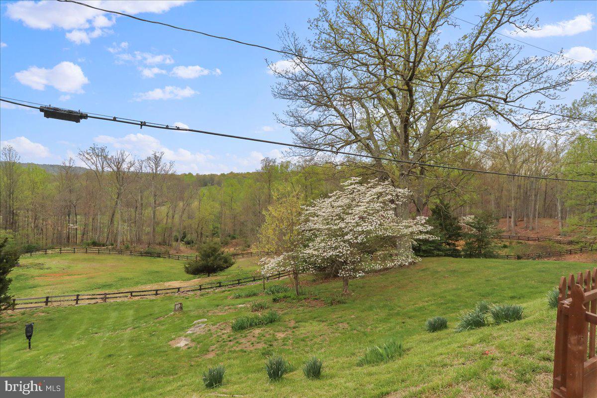6025 Coon Tree Road The Plains, VA 20198 - Photo 45 of 48 Gallery Image 45