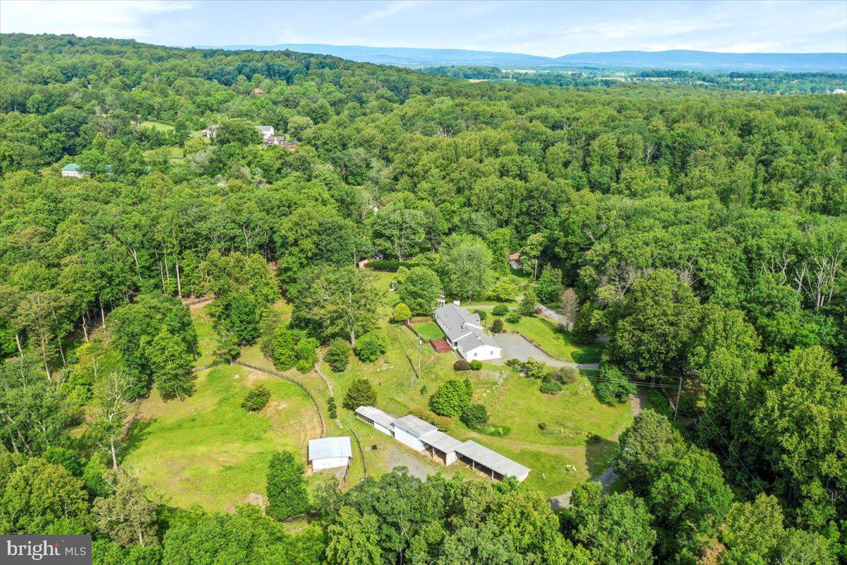 6025 Coon Tree Road The Plains, VA 20198 - Photo 48 of 48 Gallery Image 48