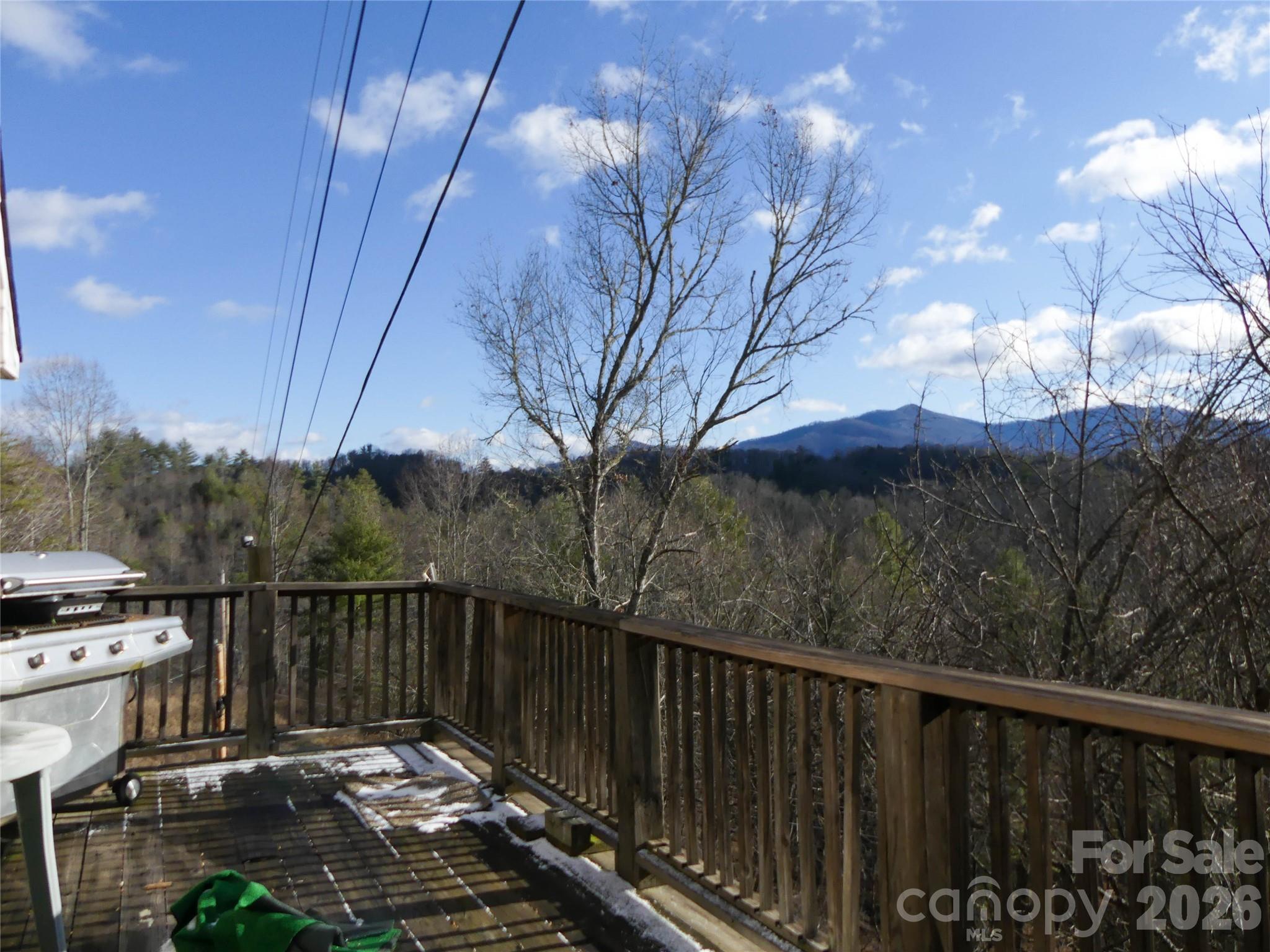 722 Union Hill Ridge Road Green Mountain, NC 28740 - Photo 17 of 21 a view of a roof deck with wooden fence and plants