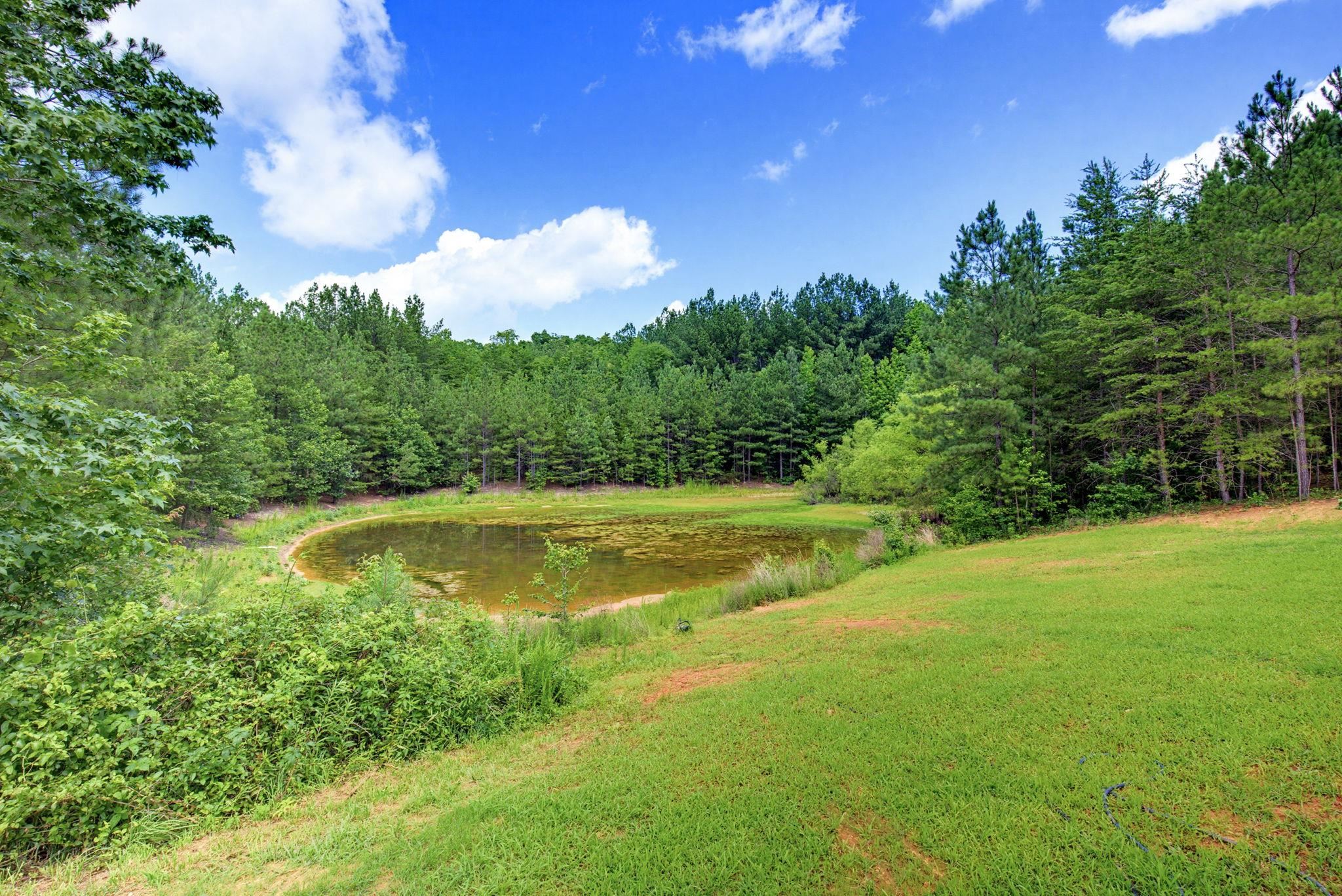 1217 Pleasant Hill Road Landrum, SC 29356 - Photo 37 of 50