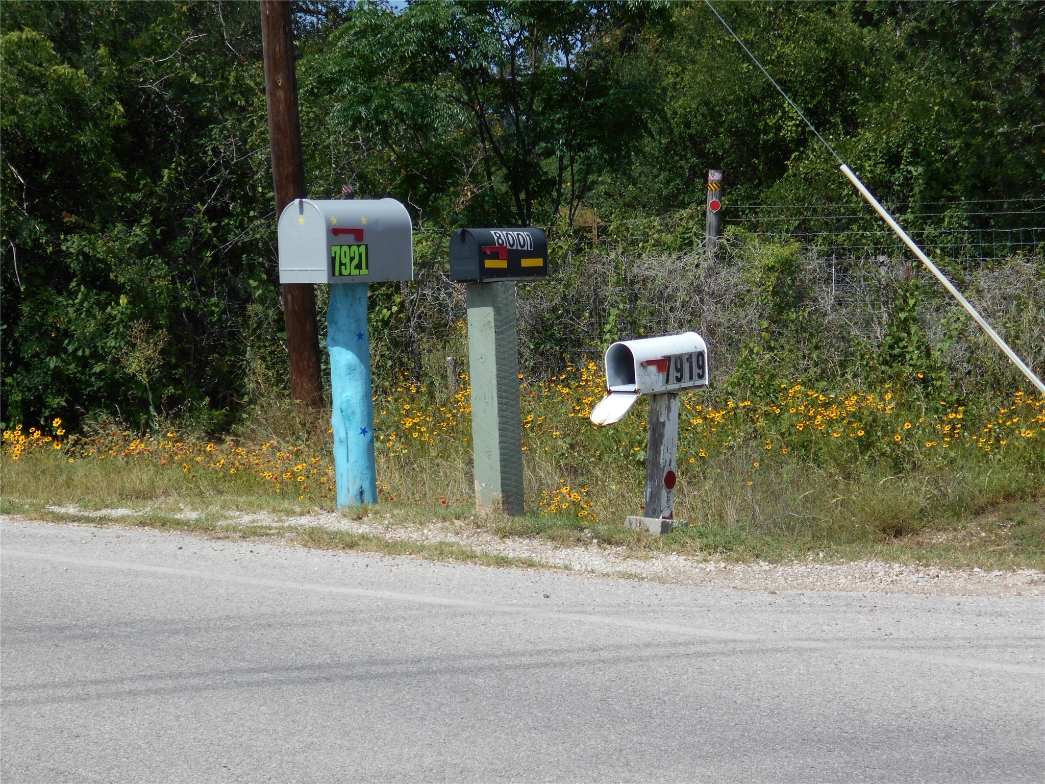 A row of mailboxes stands proudly at the roadside, framed by vibrant wildflowers and lush greenery.