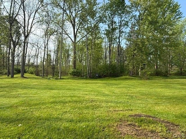 1301 Lake Street Oneida, NY 13421 - Photo 4 of 20