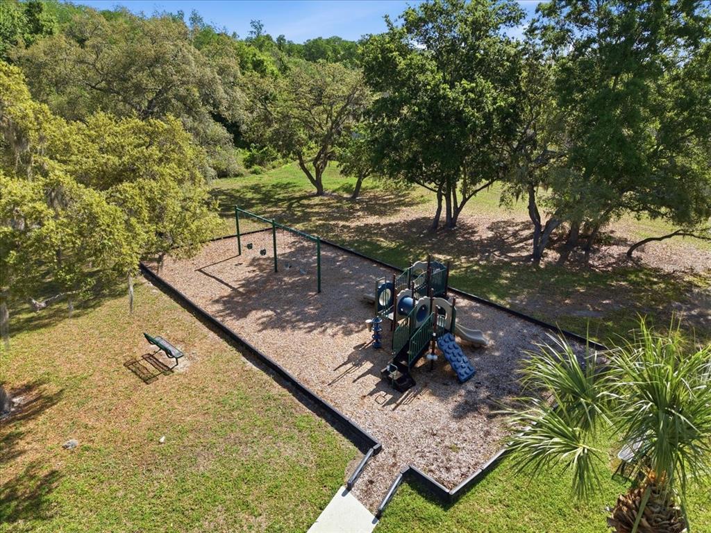 11844 Colony Lakes Boulevard New Port Richey, FL 34654 - Photo 40 of 49