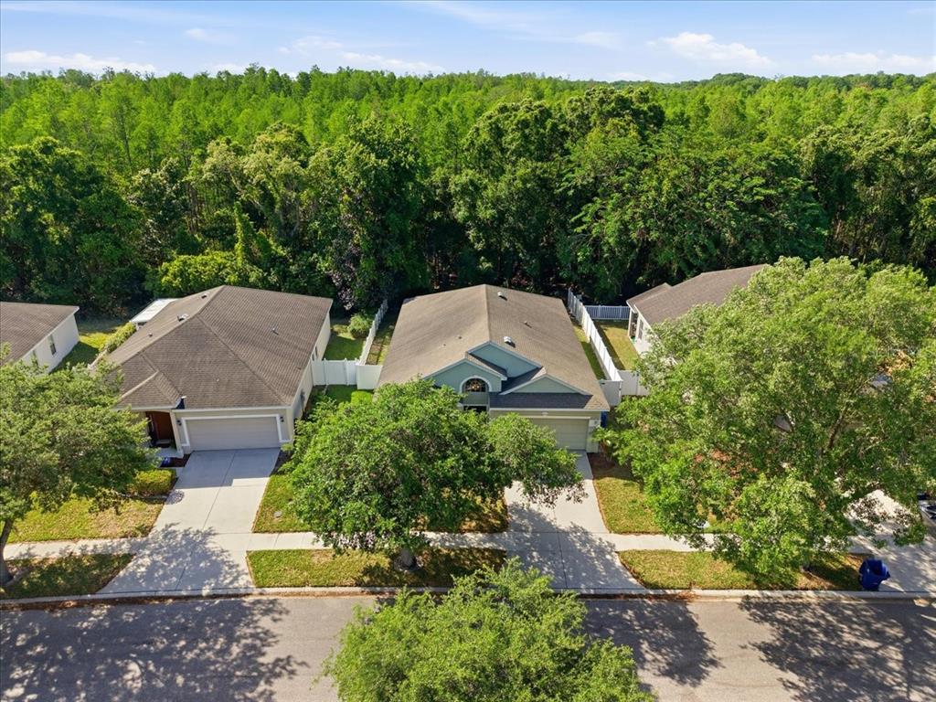 11844 Colony Lakes Boulevard New Port Richey, FL 34654 - Photo 43 of 49