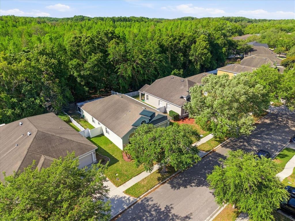 11844 Colony Lakes Boulevard New Port Richey, FL 34654 - Photo 44 of 49