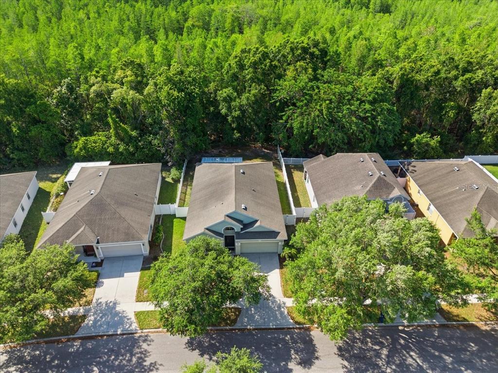 11844 Colony Lakes Boulevard New Port Richey, FL 34654 - Photo 45 of 49