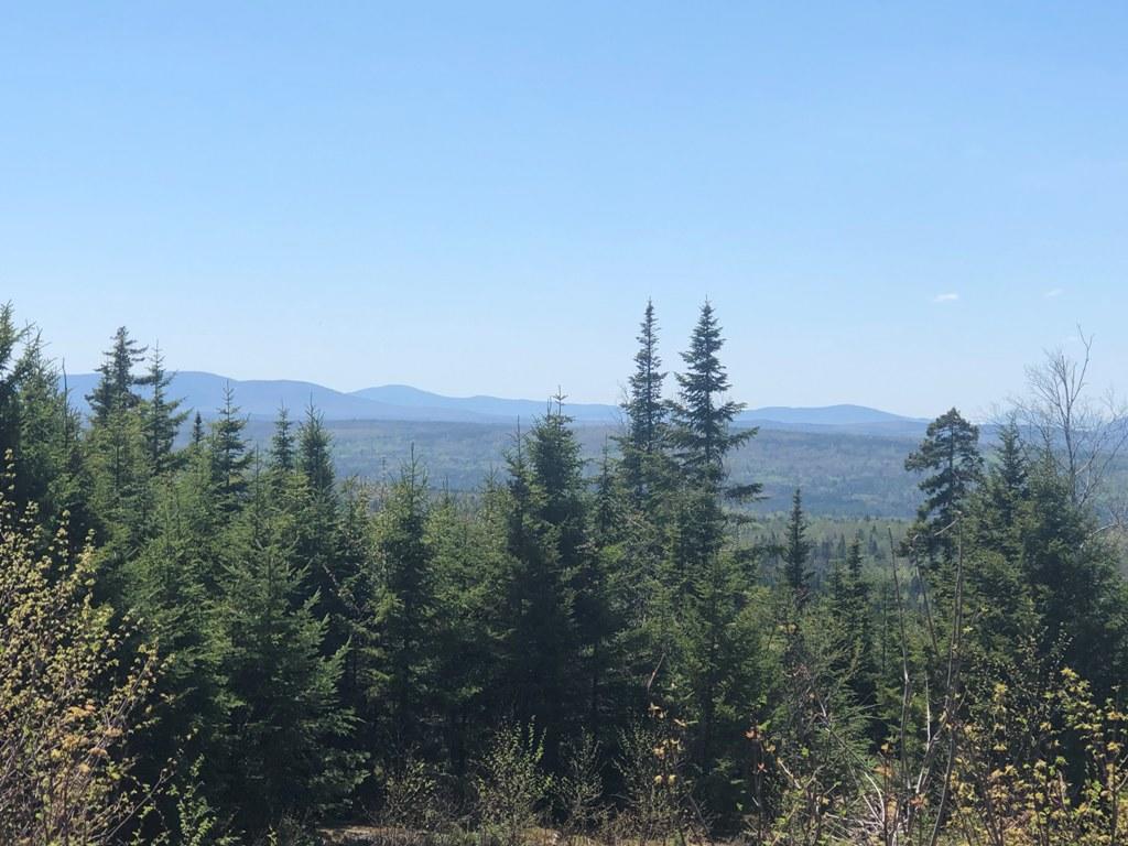 Tbd Tbd Alpine Ridge, Unit LOT 11 Greenville, ME 04441 - Photo 28 of 32 IMG_1726