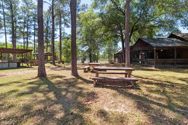 a park view with large trees