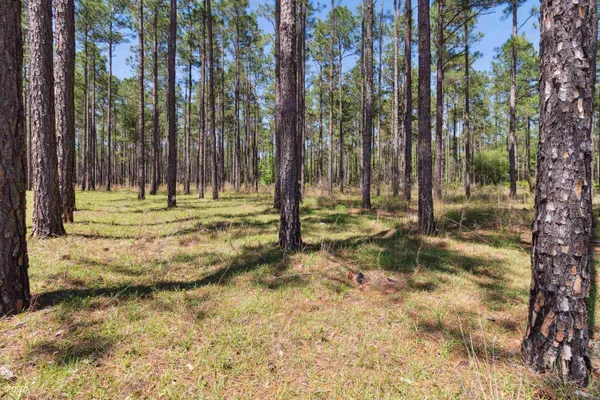 a view of outdoor space with trees