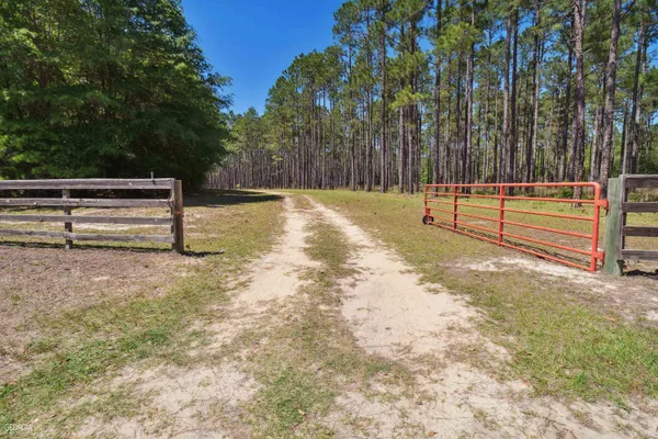 a view of outdoor space with trees