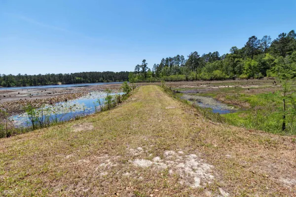 a view of lake with green space