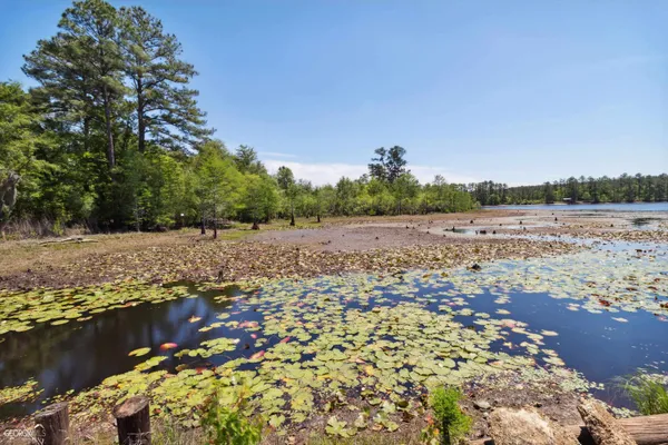 a view of lake with green space