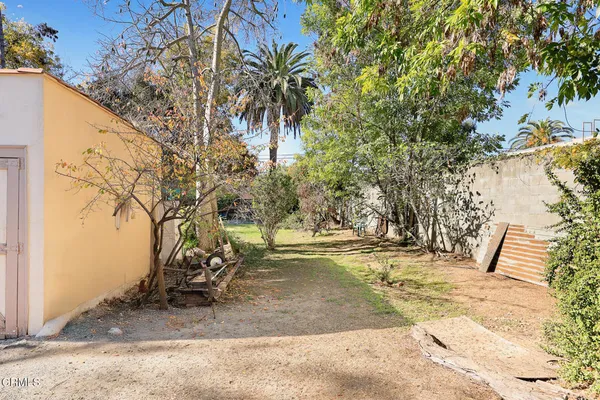a view of a garden with plants