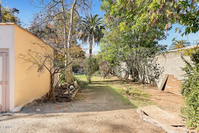 a view of a garden with plants