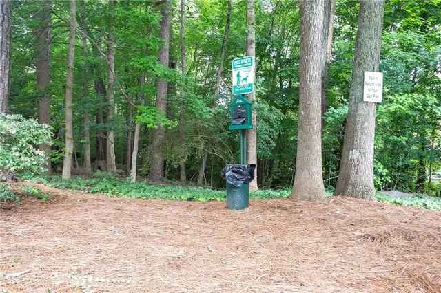 a view of a yard with plants and trees