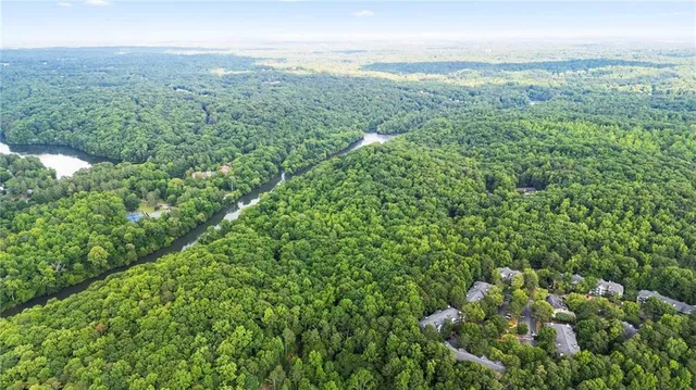 a view of a garden with plants