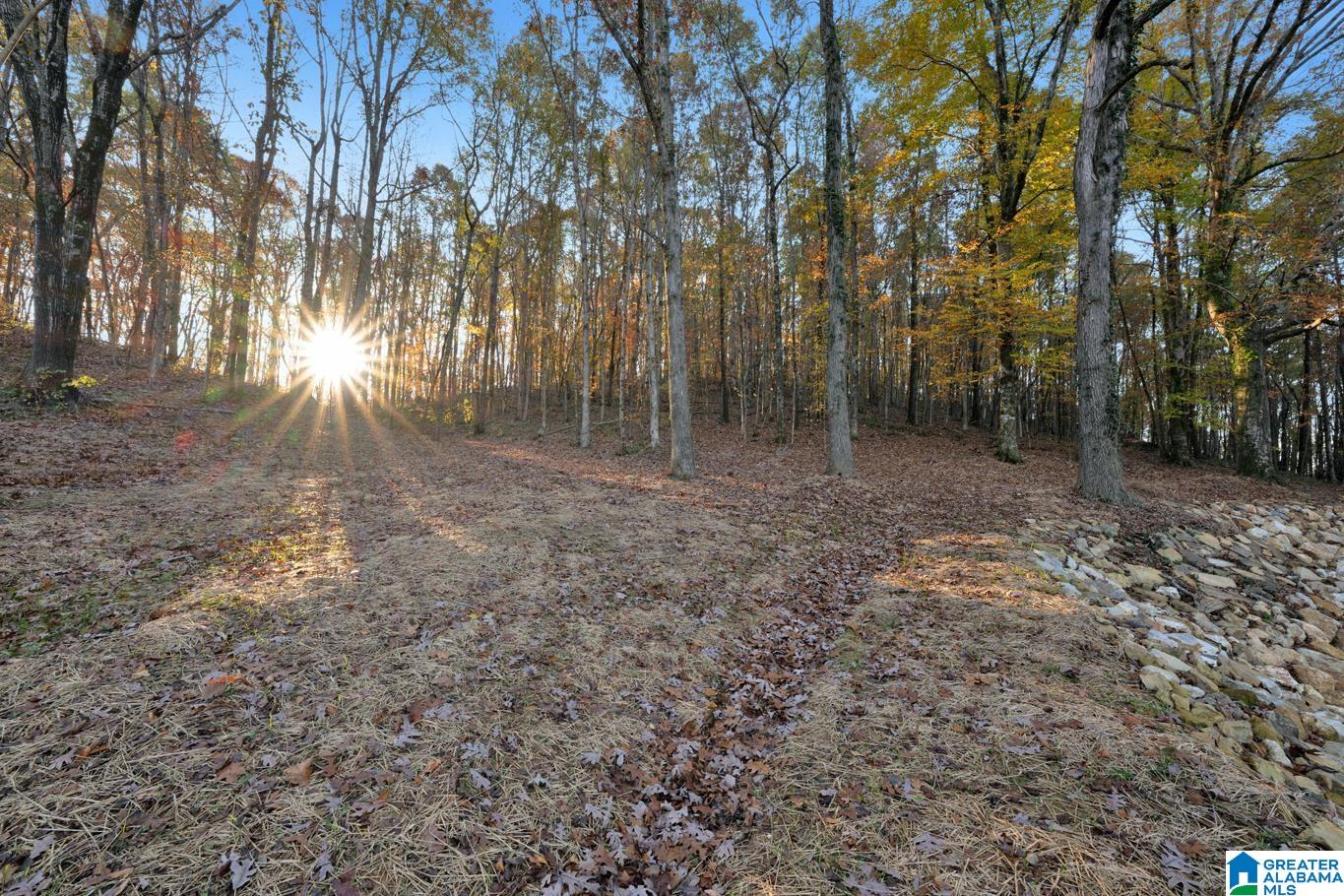 2240 Highway 17 Montevallo, AL 35115 - Photo 35 of 45