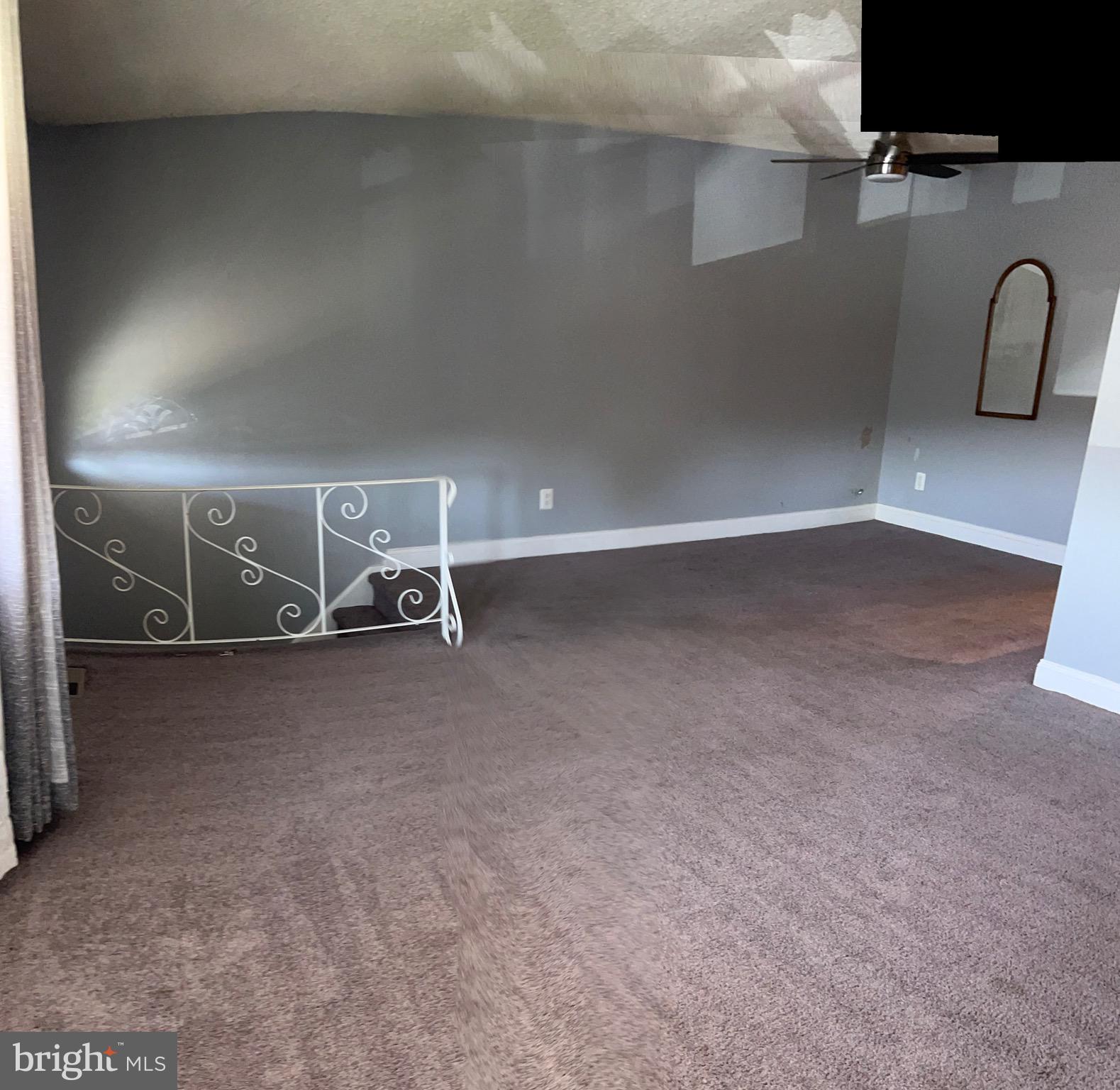 3568 Kyle Road Philadelphia, PA 19154 - Photo 9 of 39 Freshly cleaned carpets