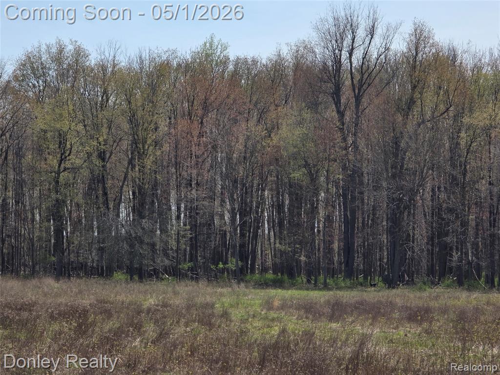 V/l Hyde Road Carsonville, MI 48419 - Photo 3 of 5
