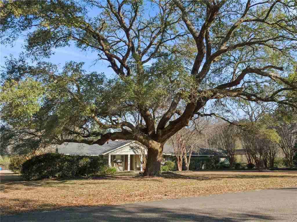 120 Smith Road Franklinton, LA 70438 - Photo 1 of 26 Gallery Image 1