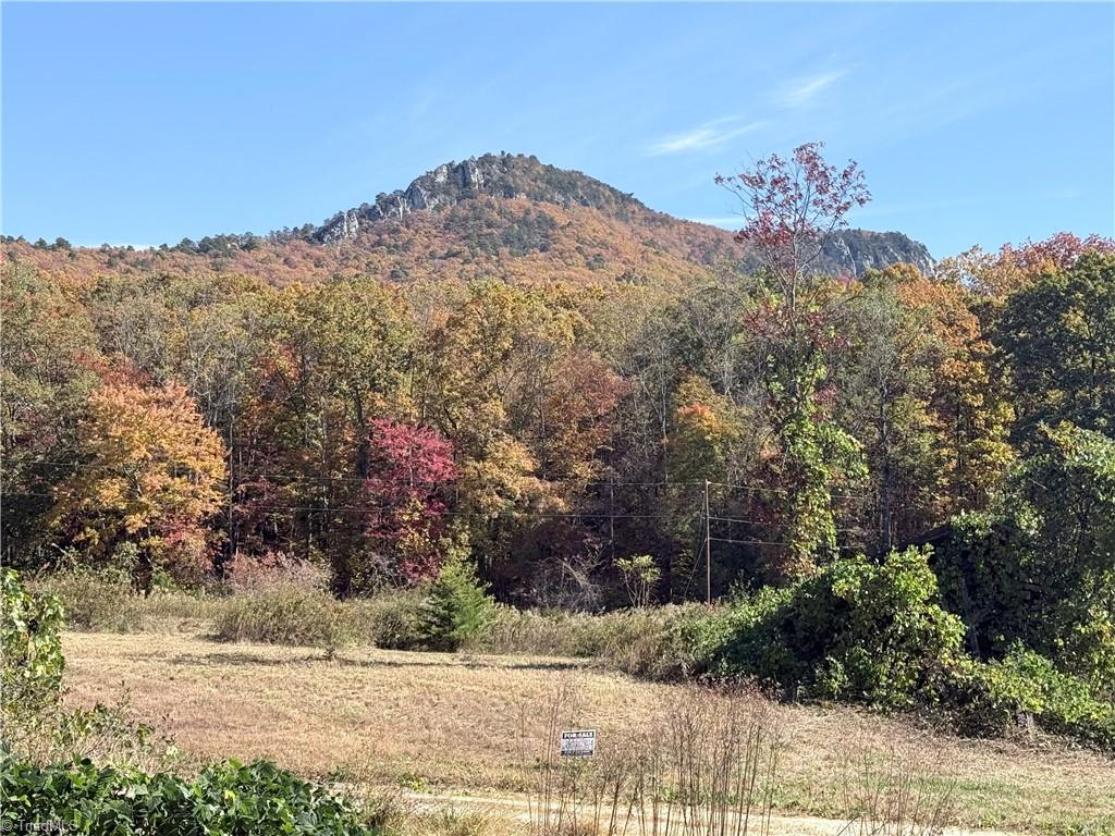 0 Reid Road King, NC 27021 - Photo 27 of 41