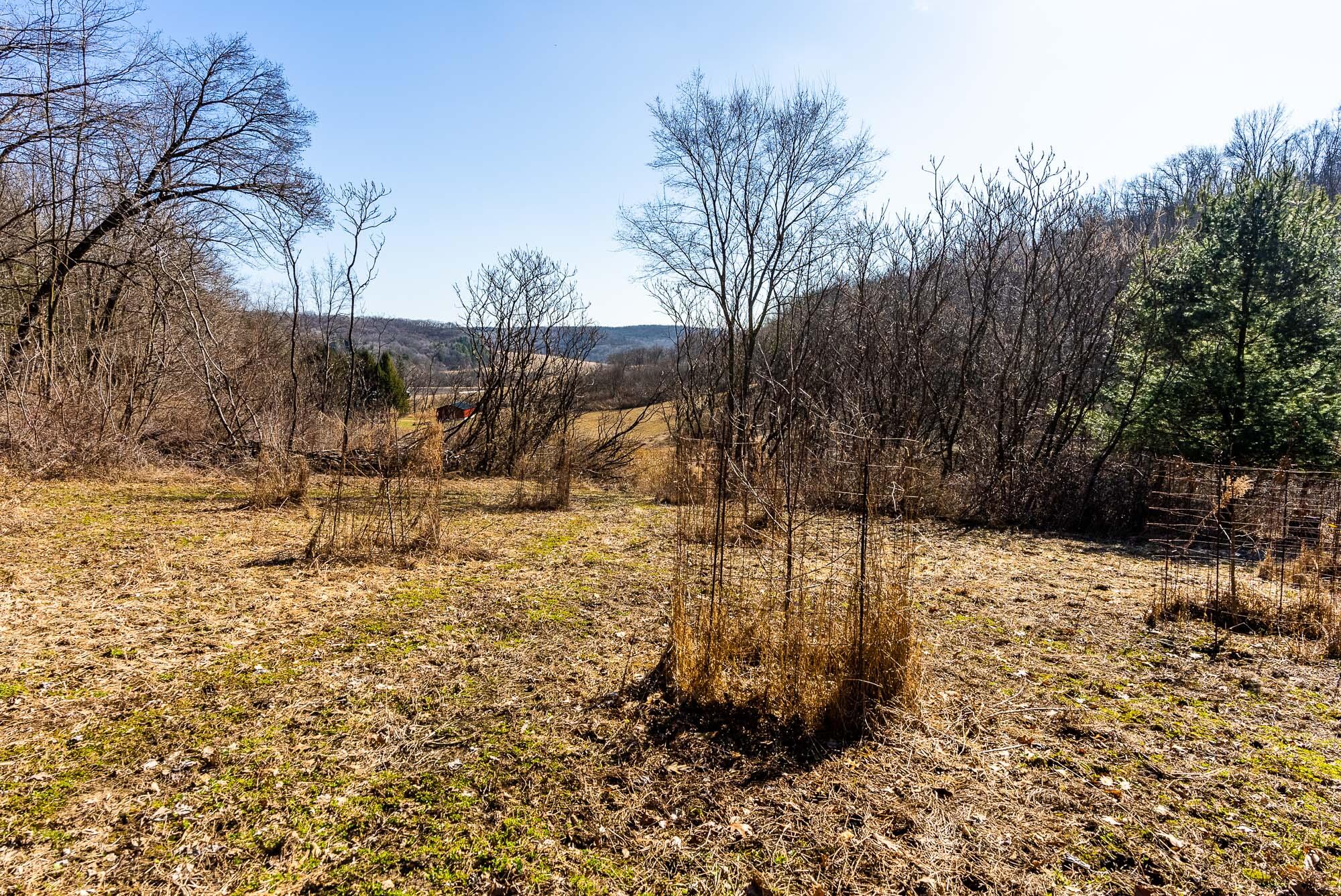 19249 Highway 56 Marshall, WI 53581 - Photo 30 of 84 Richland-County-WI-73-Acres-Land-For-Sal