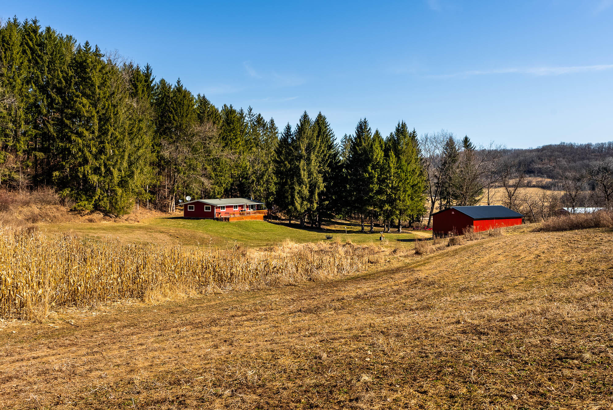 19249 Highway 56 Marshall, WI 53581 - Photo 3 of 84 Richland-County-WI-73-Acres-Land-For-Sal