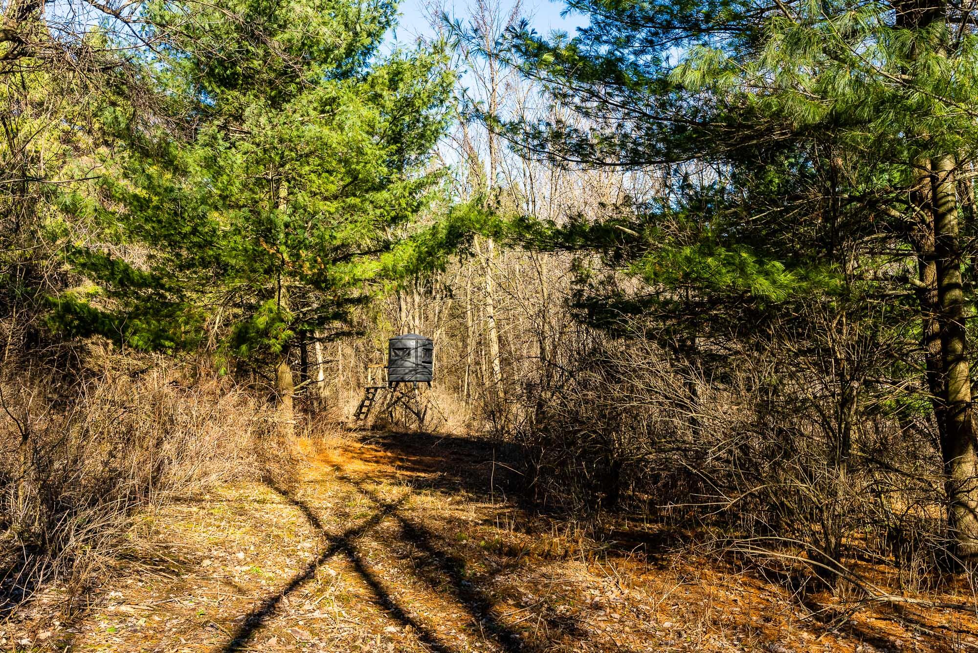 19249 Highway 56 Marshall, WI 53581 - Photo 33 of 84 Richland-County-WI-73-Acres-Land-For-Sal