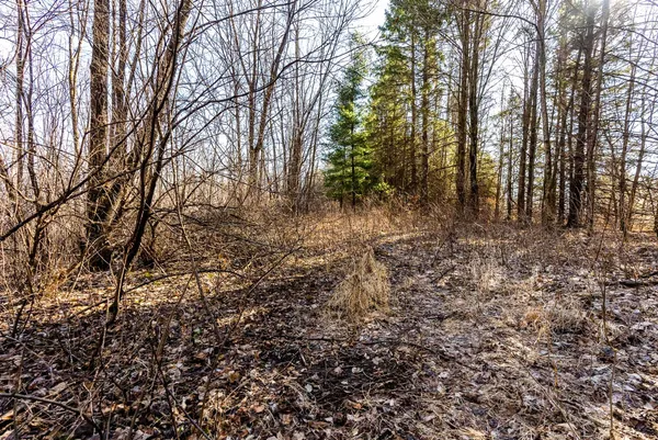 $949,000 | 19249 Highway 56, Marshall, WI 53581