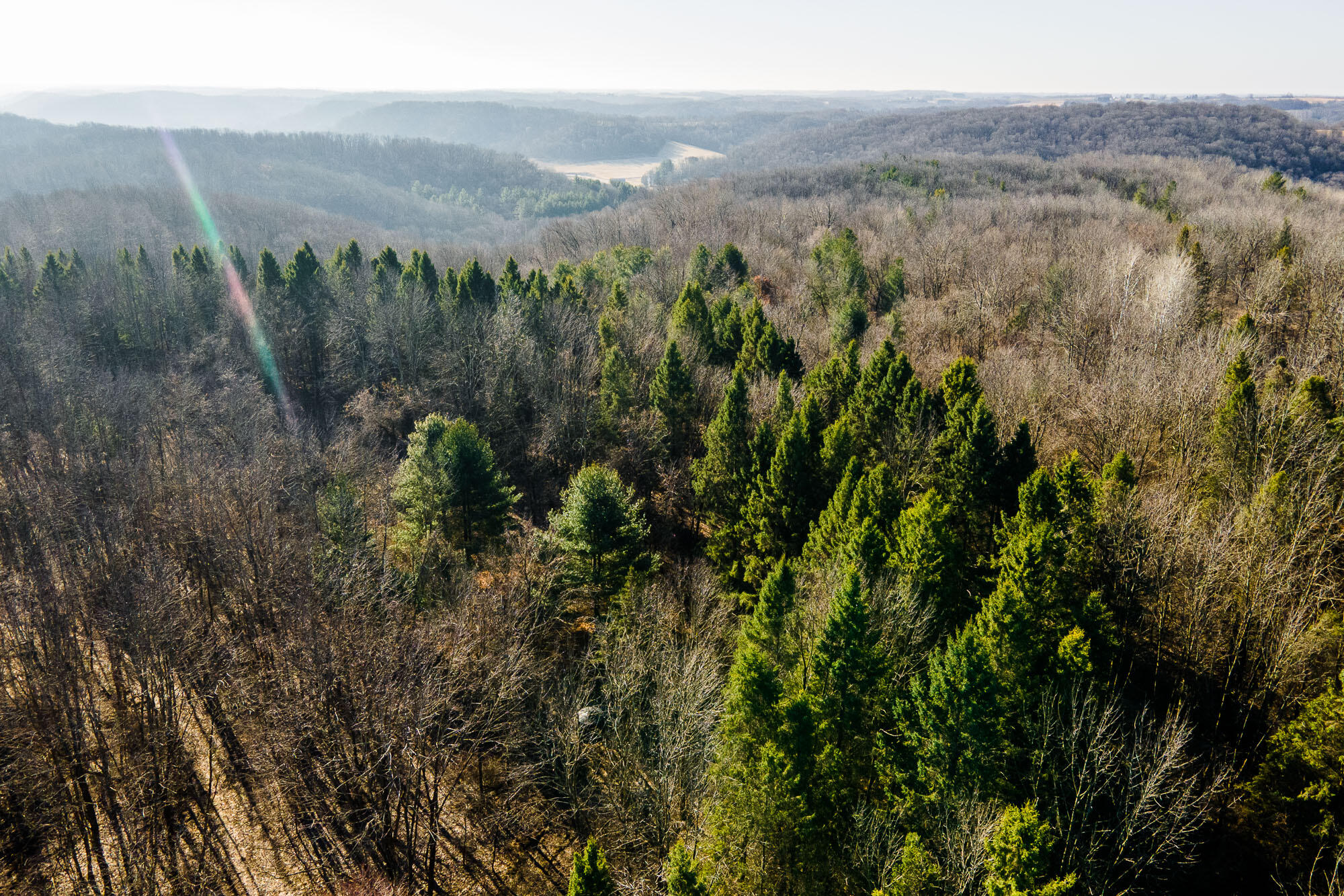 19249 Highway 56 Marshall, WI 53581 - Photo 36 of 84 Richland-County-WI-73-Acres-Land-For-Sal