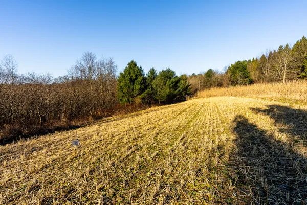 $949,000 | 19249 Highway 56, Marshall, WI 53581