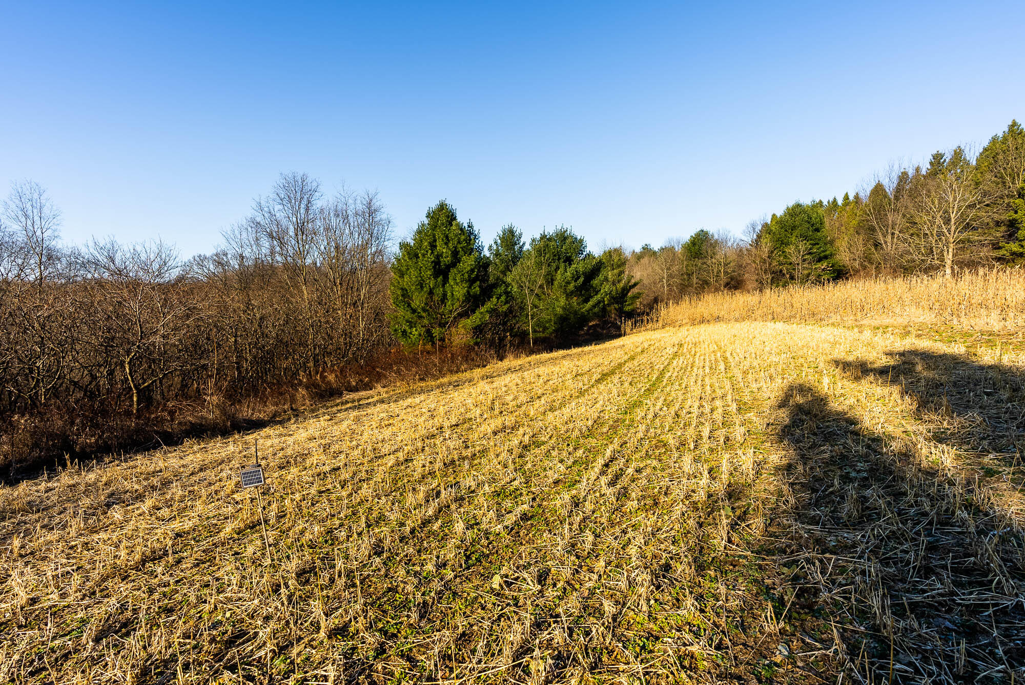 19249 Highway 56 Marshall, WI 53581 - Photo 39 of 84 Richland-County-WI-73-Acres-Land-For-Sal