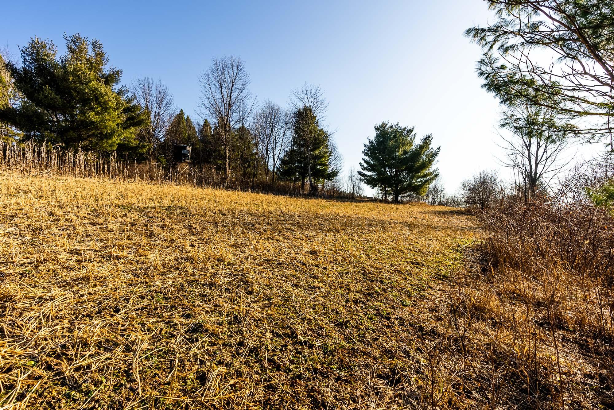 19249 Highway 56 Marshall, WI 53581 - Photo 40 of 84 Richland-County-WI-73-Acres-Land-For-Sal