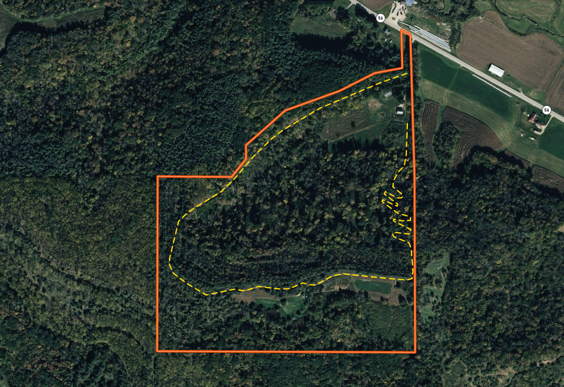 19249 Highway 56 Marshall, WI 53581 - Photo 4 of 84 Richland-County-WI-73-Acres-Land-For-Sal