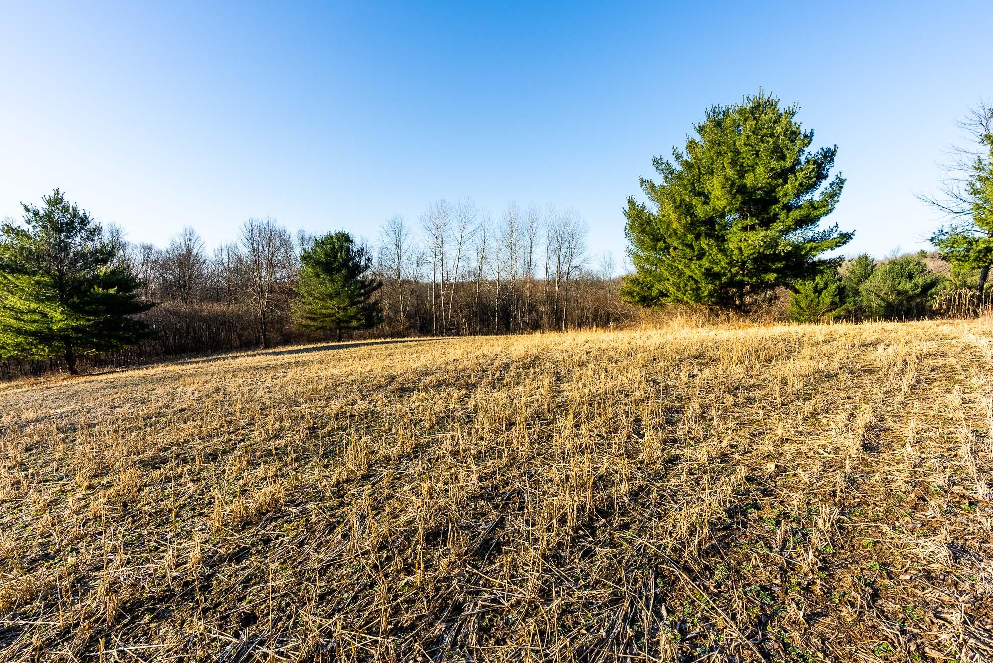 19249 Highway 56 Marshall, WI 53581 - Photo 42 of 84 Richland-County-WI-73-Acres-Land-For-Sal