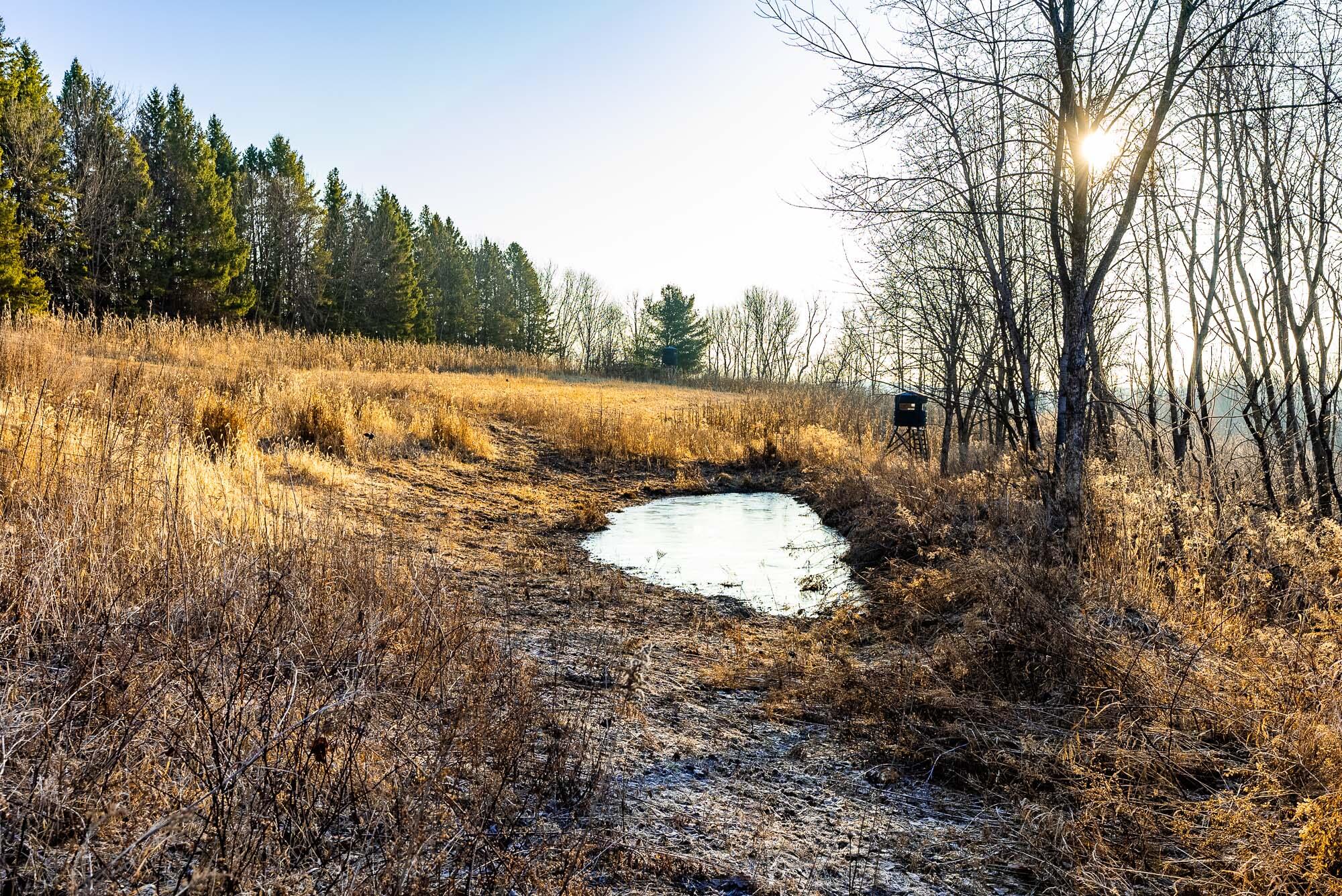 19249 Highway 56 Marshall, WI 53581 - Photo 45 of 84 Richland-County-WI-73-Acres-Land-For-Sal