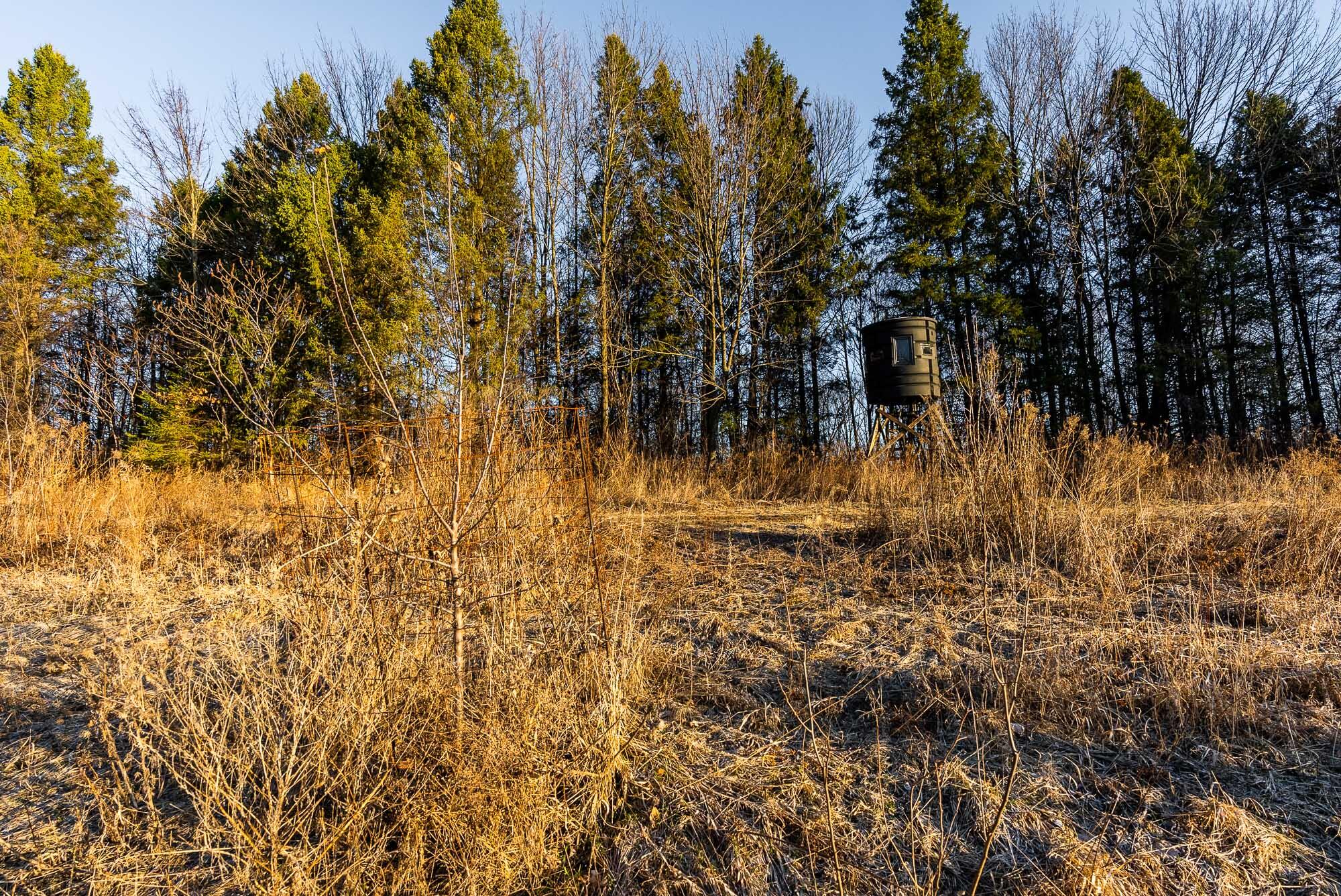 19249 Highway 56 Marshall, WI 53581 - Photo 46 of 84 Richland-County-WI-73-Acres-Land-For-Sal
