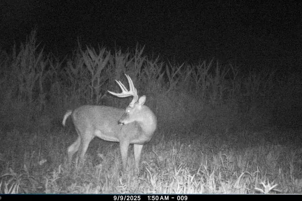 $949,000 | 19249 Highway 56, Marshall, WI 53581