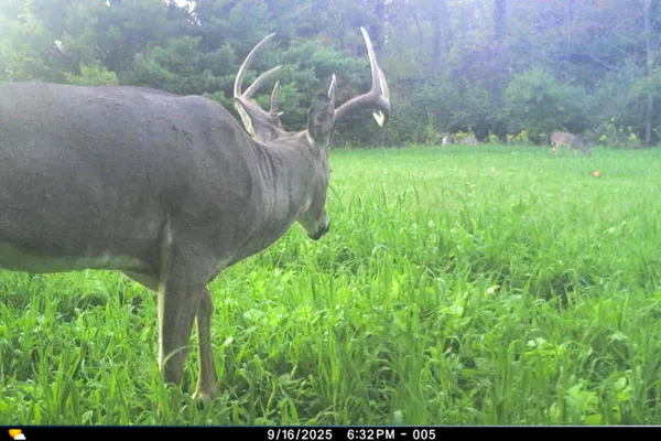 $949,000 | 19249 Highway 56, Marshall, WI 53581