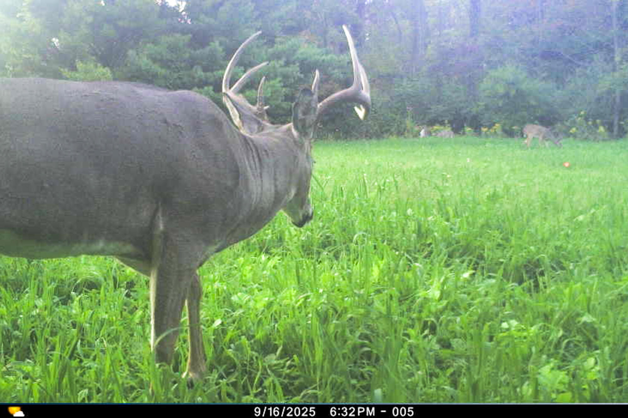 19249 Highway 56 Marshall, WI 53581 - Photo 54 of 84 Richland-County-WI-73-Acres-Land-For-Sal