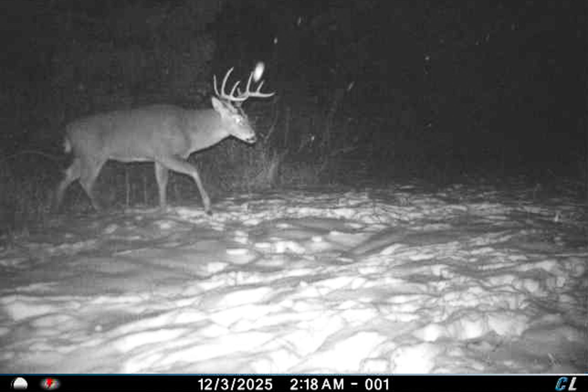 19249 Highway 56 Marshall, WI 53581 - Photo 59 of 84 Richland-County-WI-73-Acres-Land-For-Sal