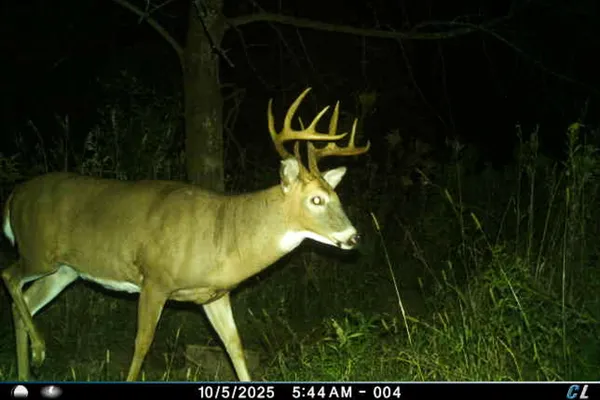 $949,000 | 19249 Highway 56, Marshall, WI 53581